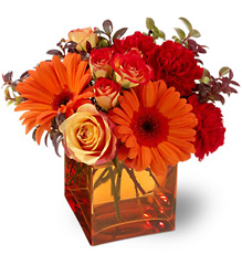 Teleflora's Sunrise Sunset from Swindler and Sons Florists in Wilmington, OH